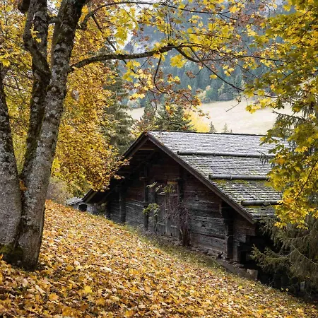 Chalet 3*, Ferme Renovee, 10 Pers, Proche Pistes, Garage, Animaux Admis - Fr-1-304-162